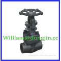 Bolted bonnet (Forged gate valve)